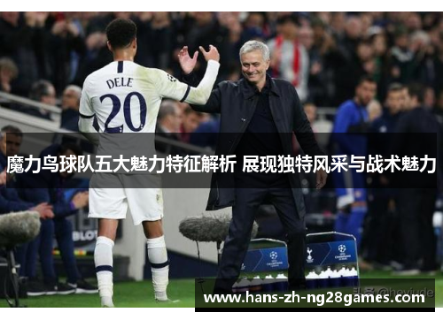 魔力鸟球队五大魅力特征解析 展现独特风采与战术魅力