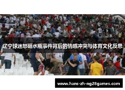 辽宁球迷怒砸水瓶事件背后的情感冲突与体育文化反思