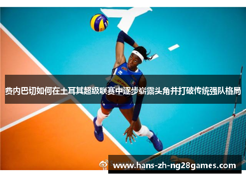 费内巴切如何在土耳其超级联赛中逐步崭露头角并打破传统强队格局